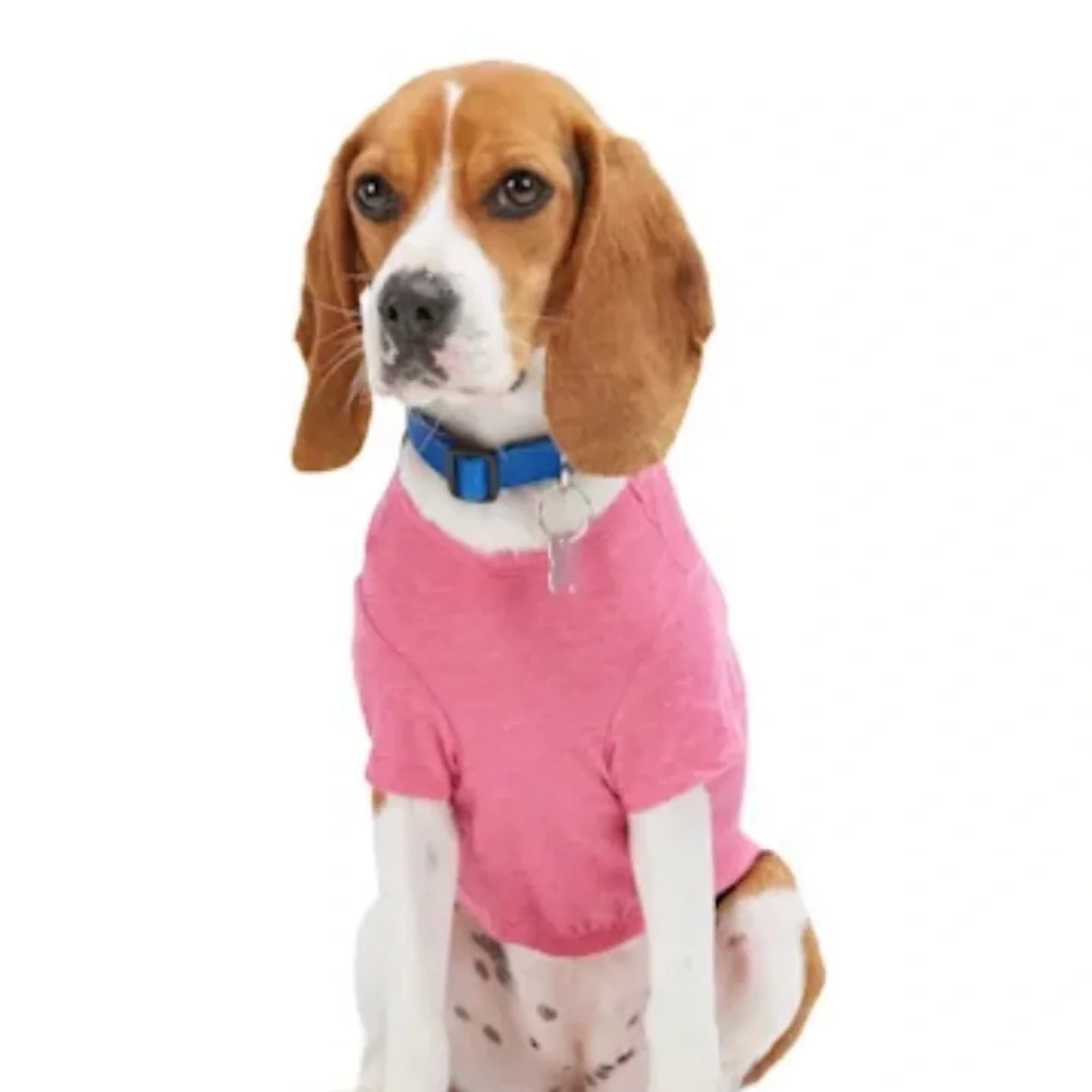 NWT Next Level Diva Dog T-shirt M